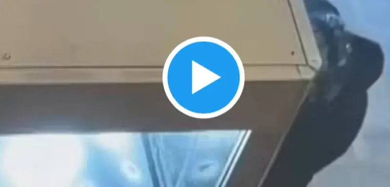 Images exclusives du casse du Louvre diffusées dans Sept à Huit sur TF1