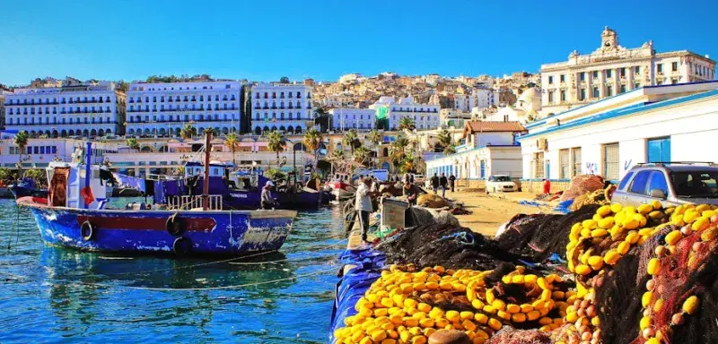 Vibrant day at the Casbah harbor with boats, fishing nets, and waterfront architecture.