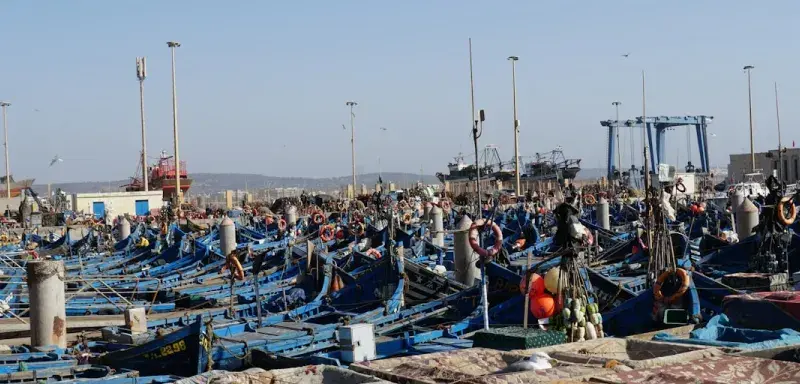 Plusieurs bateaux de pêche bleus amarrés dans un port algérien