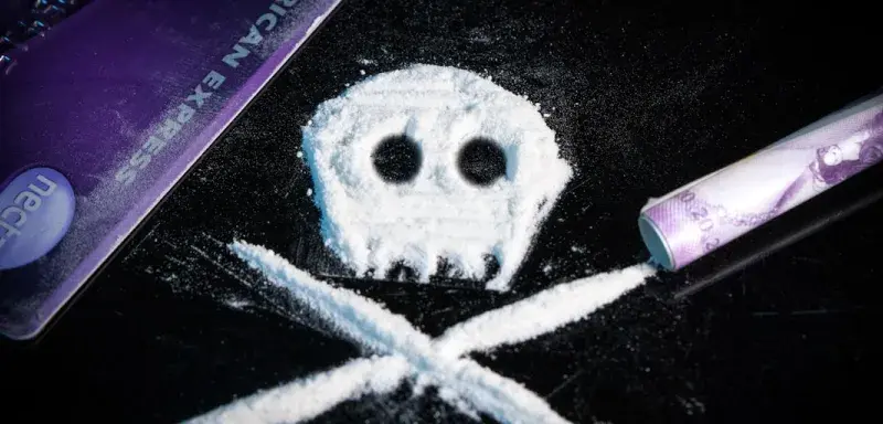 Saisie de cocaïne par les services douaniers français