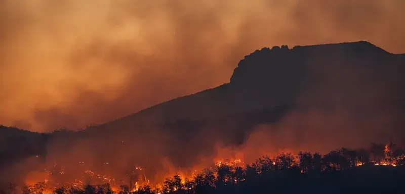 wildfire burning across hillside at dusk