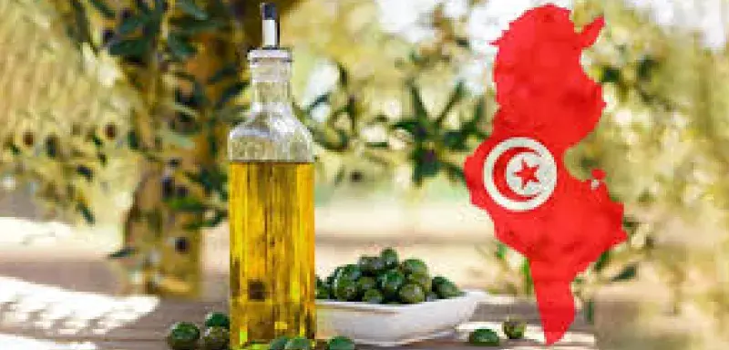 Avec une récolte record en 2025‑26, la Tunisie pourrait dépasser l’Italie en production d’huile d’olive, symbole d’un renouveau agricole maghrébin.