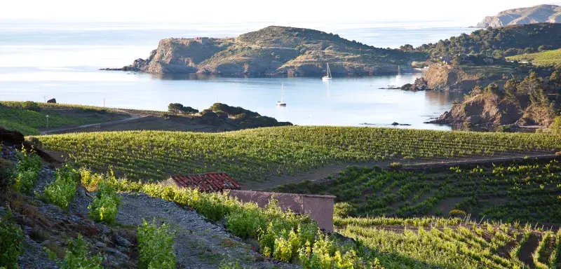  bassin méditerranéen devient un terrain de jeu privilégié pour les amateurs de vin et de voyage