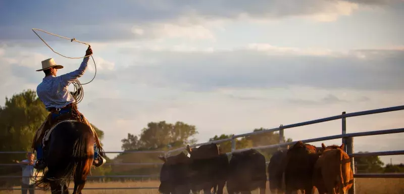 Au programme : des chevaux, des chapeaux de cow-boy, des lassos, des taureaux et du rodéo. (© Emmanuelle Lagrange)