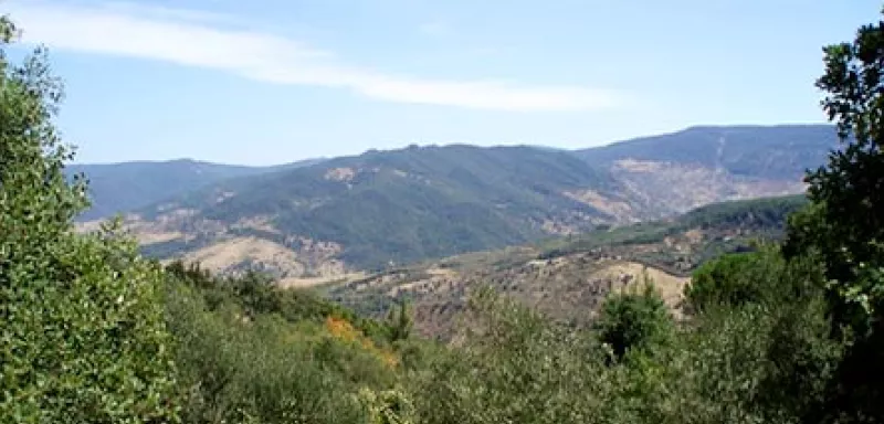 la montagne Chaâmbi, à la frontière centre-ouest avec l'Algérie... (DR)