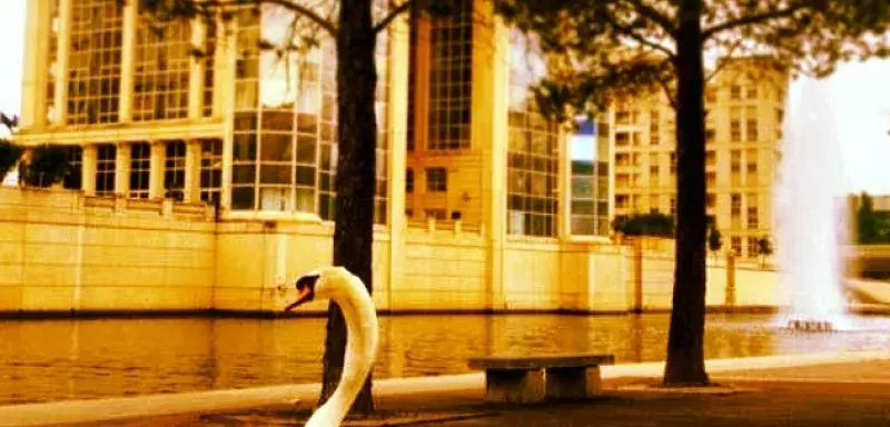 L'élection du nouveau président de la Région Languedoc-Roussillon aura lieu après les sénatoriales du 28 septembre. (© N.E)