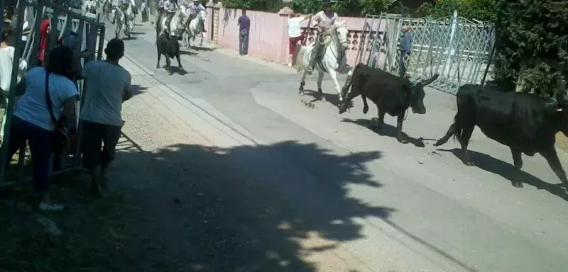 Selon plusieurs témoins de l’accident, le sexagénaire avait plusieurs fois été invité à se ranger derrière les barrières de protection. (Photo d’illustration/ ® C.R)