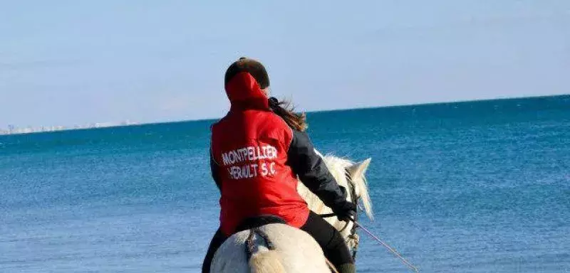 Depuis la rencontre face à Schalke, les supporters du MHSC sont très déçus de ne pas avoir eu droit,une fois de plus, à un tour d'honneur des joueurs montpelliérains. (DR)