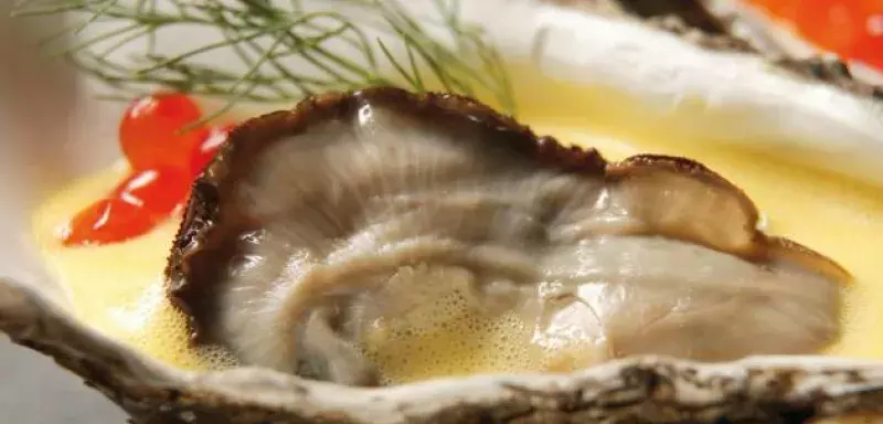 Gros coup dur pour les conchyliculteurs de l’Étang de Thau qui ne peuvent plus commercialiser leurs huîtres et leurs moules jusqu'à nouvel ordre.