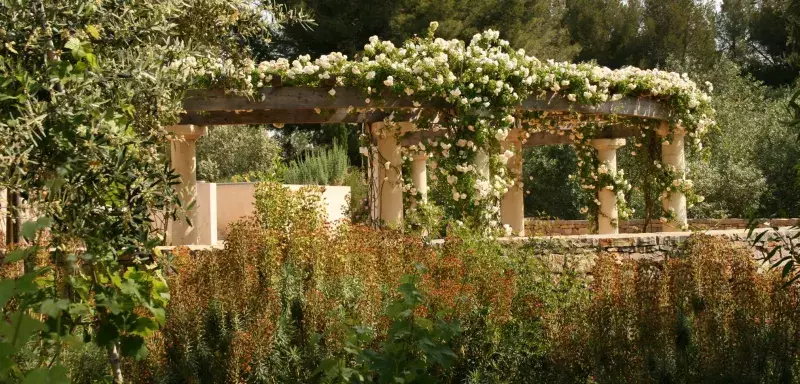 A partir du vendredi 20 mars, les 7 jardins thématiques du JAM vous invitent à l’exploration de plus de 1200 espèces de plantes typiquement méditerranéennes ! (DR)