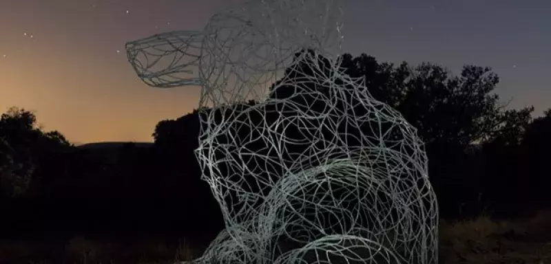 "L'Evidence", le loup du Grand Pic Saint-Loup sera observable sur la Place de la Comédie, à Montpellier, les 30 septembre et 1er octobre prochains ! (© Communauté de communes du Grand Pic Saint-Loup)