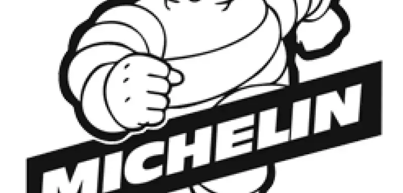 michelinprofit.gif