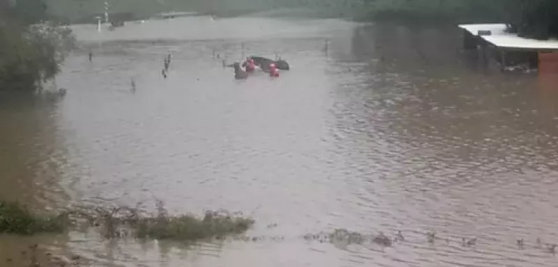 Sauvetage d’animaux en plaine orientale, ce 2 octobre (© SDIS 2B)