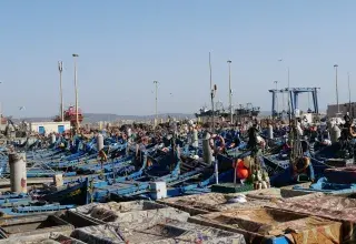 Plusieurs bateaux de pêche bleus amarrés dans un port algérien