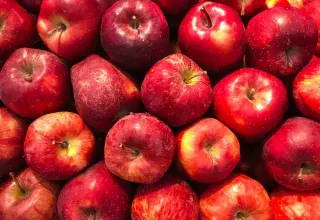 Pommes rouges fraîches exposées sur un étal