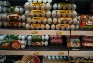 Supermarket shelves displaying many white and brown egg cartons.