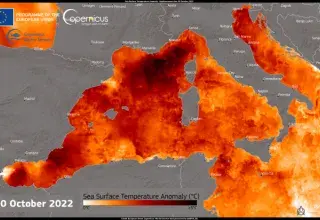 les températures de surface de l’eau battent des records, dépassant de plusieurs degrés la normale saisonnière