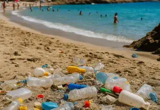 Conscientes de l'urgence environnementale et économique, les nations riveraines multiplient les initiatives 