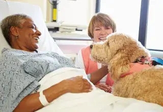 Quand l’animal entrouvre mystérieusement la porte du soin