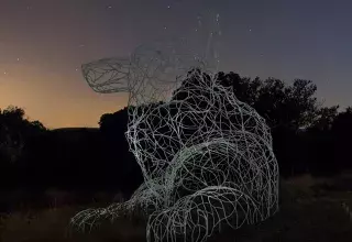 "L'Evidence", le loup du Grand Pic Saint-Loup sera observable sur la Place de la Comédie, à Montpellier, les 30 septembre et 1er octobre prochains ! (© Communauté de communes du Grand Pic Saint-Loup)